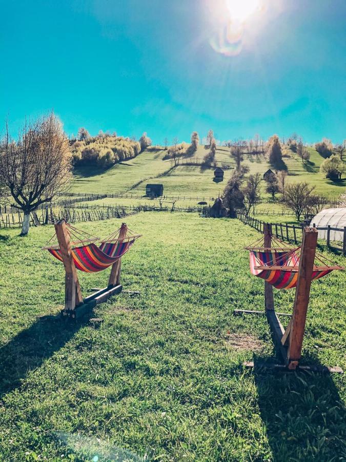 Lodge Cabanute Luca Ama Bran