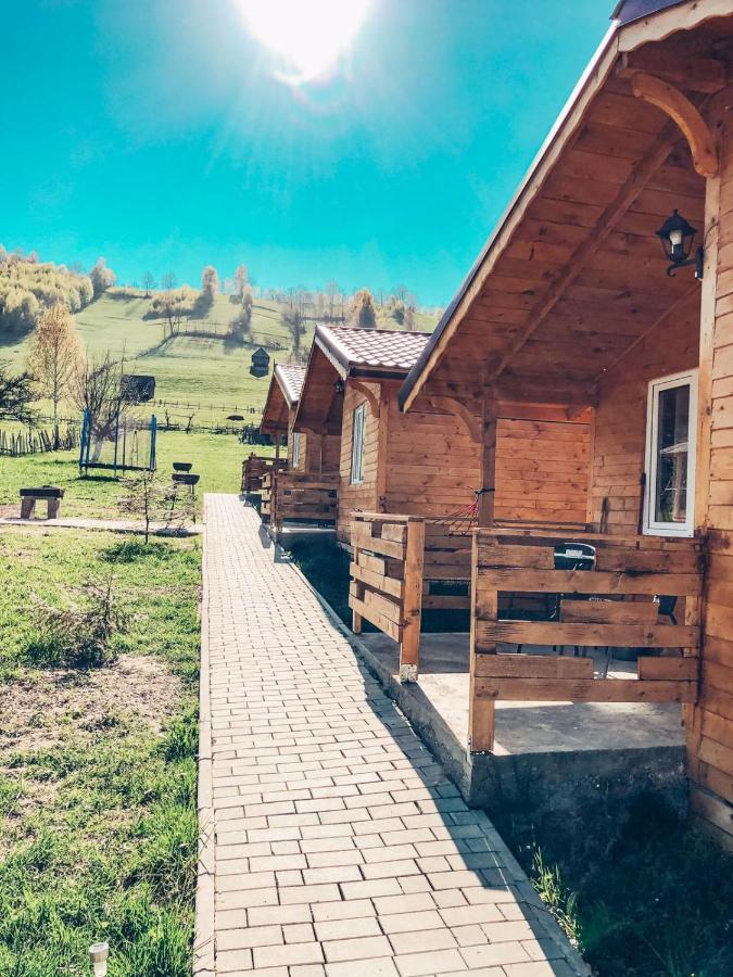 Lodge Cabanute Luca Ama Bran Brașov